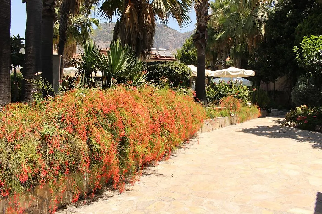 גוג'ק Nirvana Hotel מלון דירות