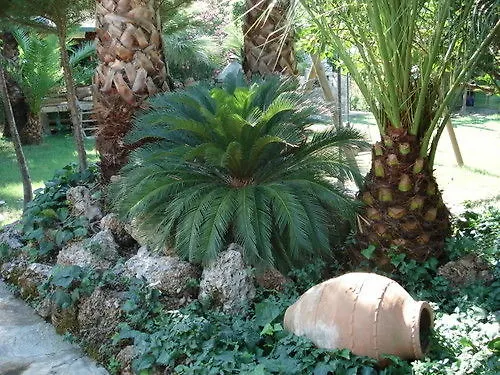 Nirvana Hotel Göcek Hotel de apartamente